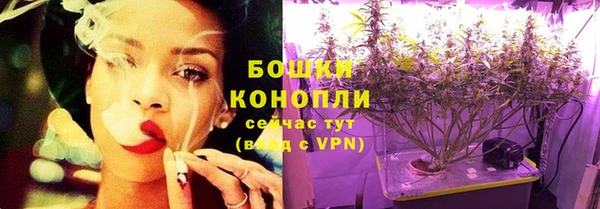 ГАЛЛЮЦИНОГЕННЫЕ ГРИБЫ Алзамай