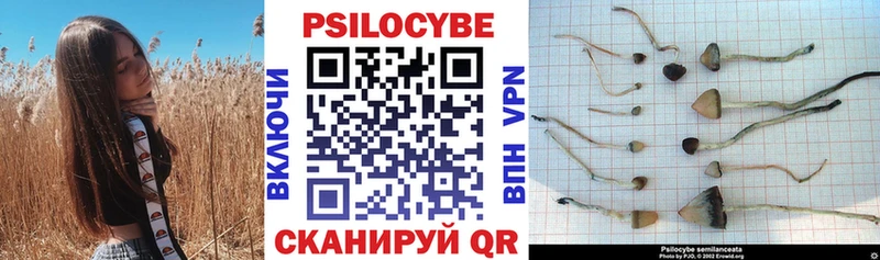 Галлюциногенные грибы Cubensis  OMG зеркало  Благовещенск 