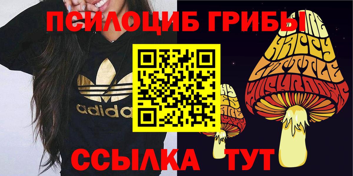 Благовещенск  закладка  Вход с VPN  Галлюциногенные грибы Psilocybine cubensis 